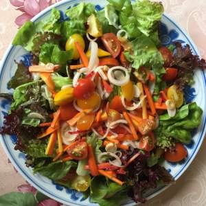 Colorful Green Salad